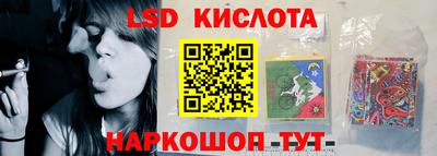 мдпв Кингисепп