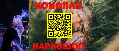 мдпв Кингисепп