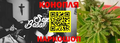 мдпв Кингисепп