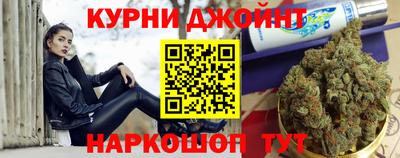 мдпв Кингисепп