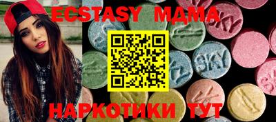 мдпв Кингисепп