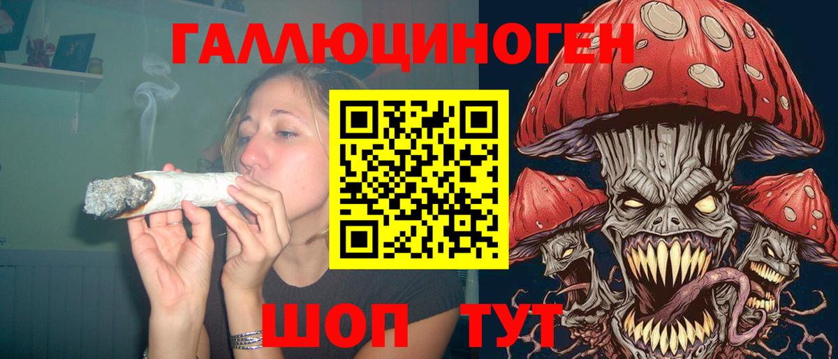 Арсеньев  Псилоцибиновые грибы мицелий  Вход с VPN 